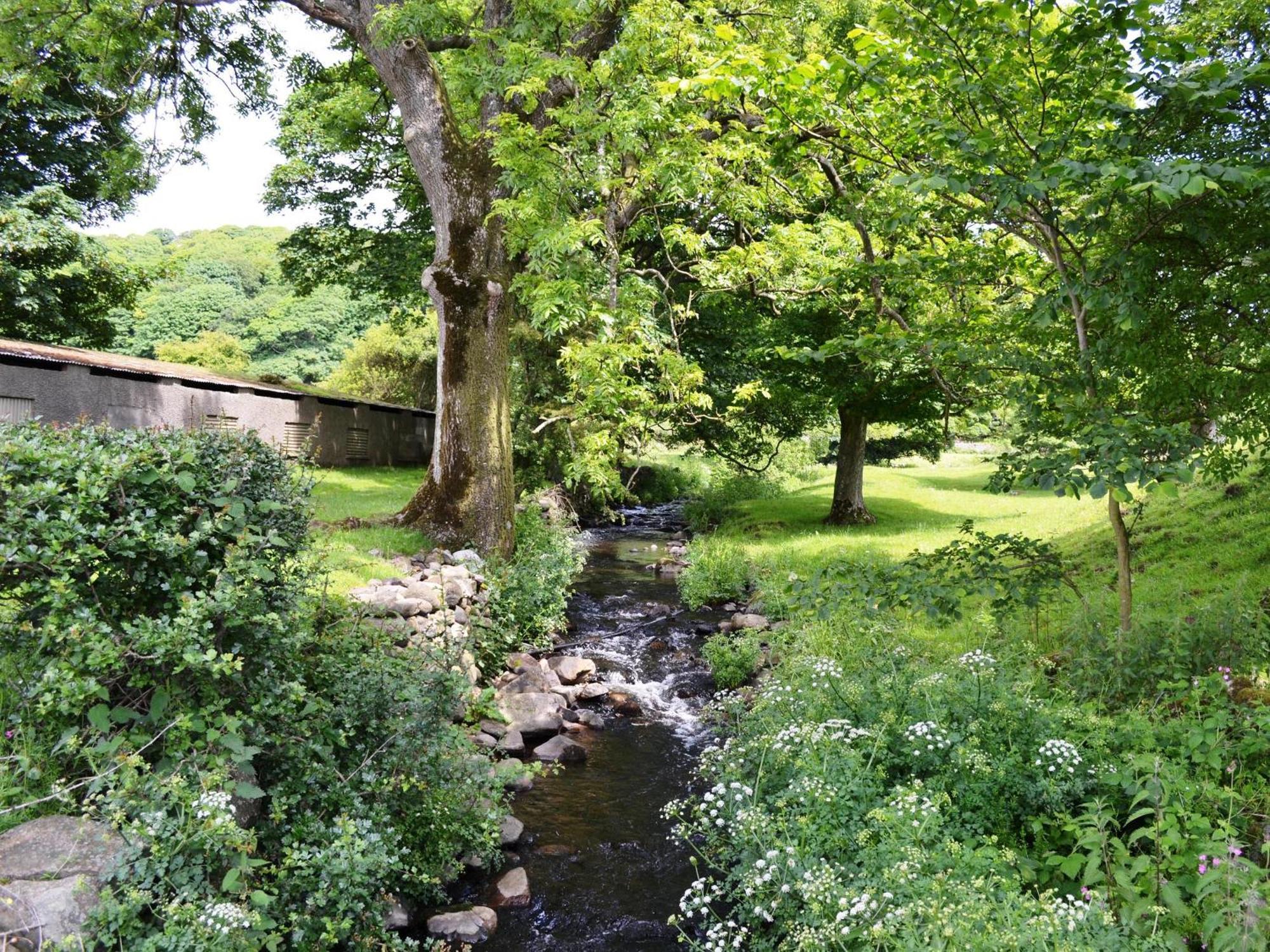 Shepherds Corney